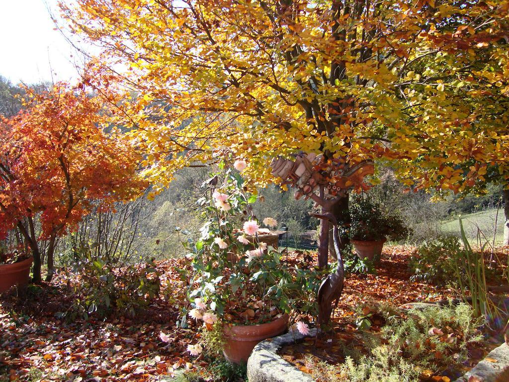 Cascina Nel Bosco Bed & Breakfast Moncucco Torinese Eksteriør bilde