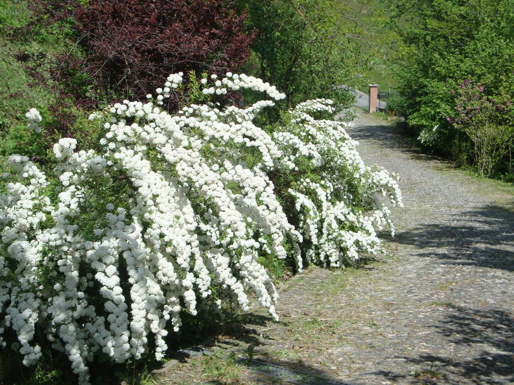 Cascina Nel Bosco Bed & Breakfast Moncucco Torinese Eksteriør bilde